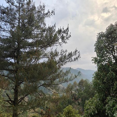 Himwanderer Camps & Cottages Pangot Nainital Exteriör bild