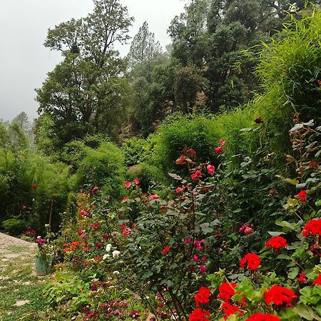 Himwanderer Camps & Cottages Pangot Nainital Exteriör bild