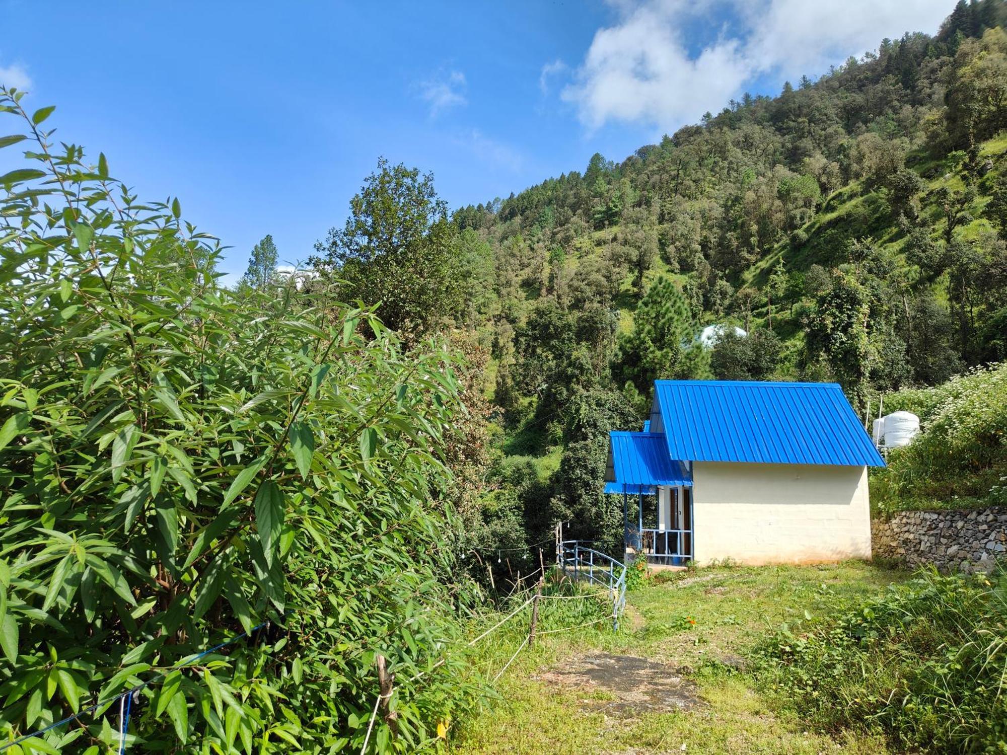 Himwanderer Camps & Cottages Pangot Nainital Exteriör bild