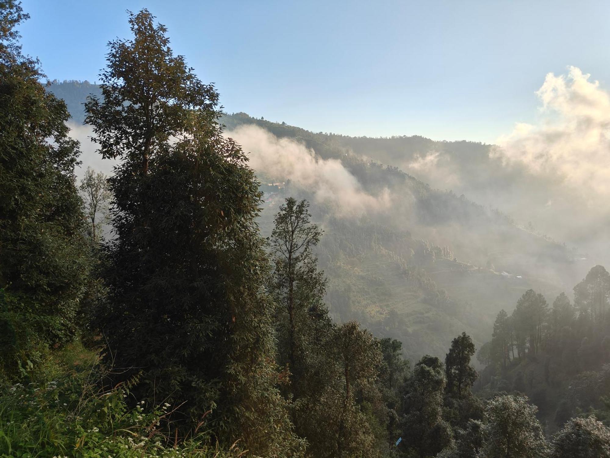 Himwanderer Camps & Cottages Pangot Nainital Exteriör bild