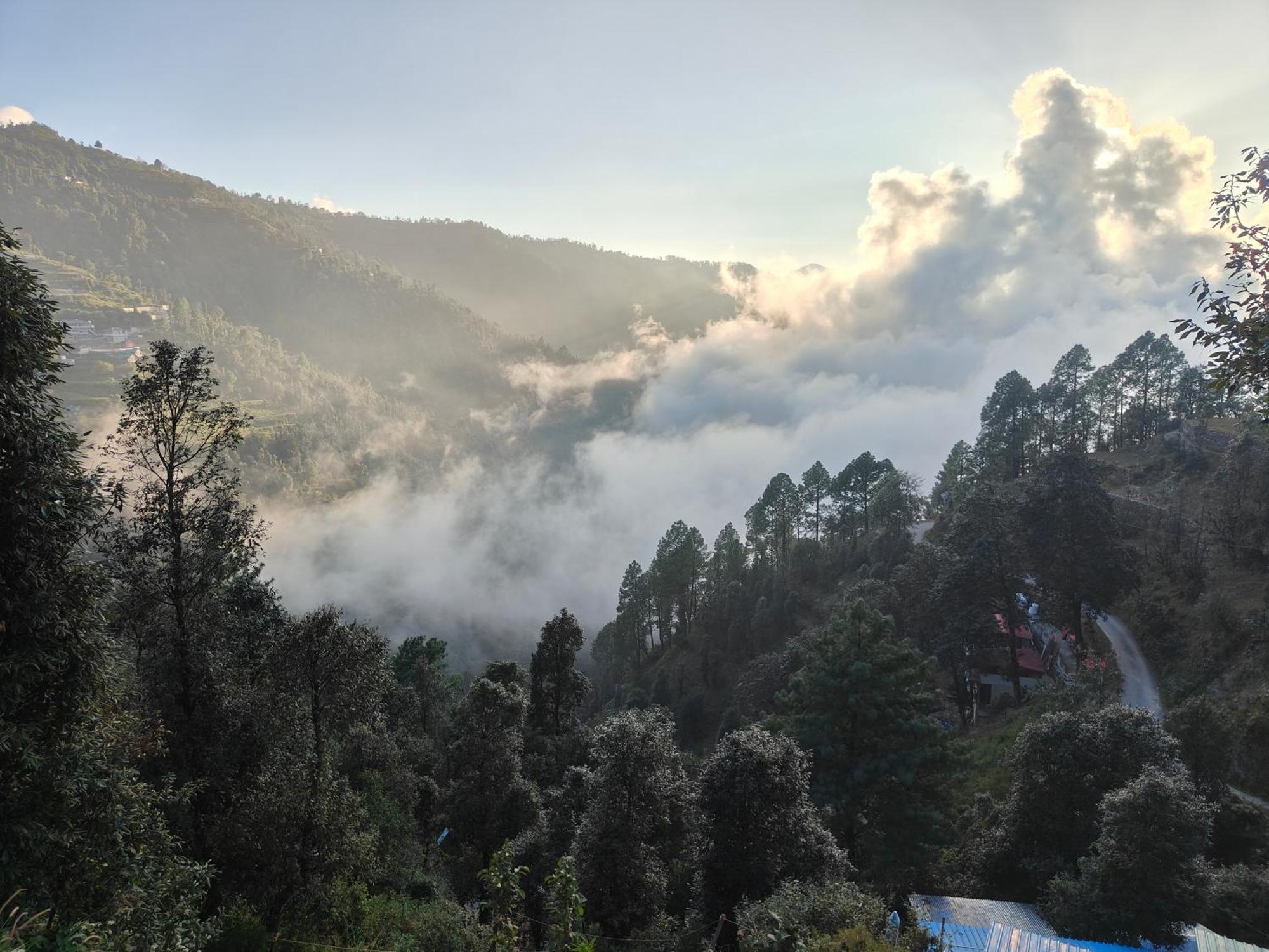 Himwanderer Camps & Cottages Pangot Nainital Exteriör bild