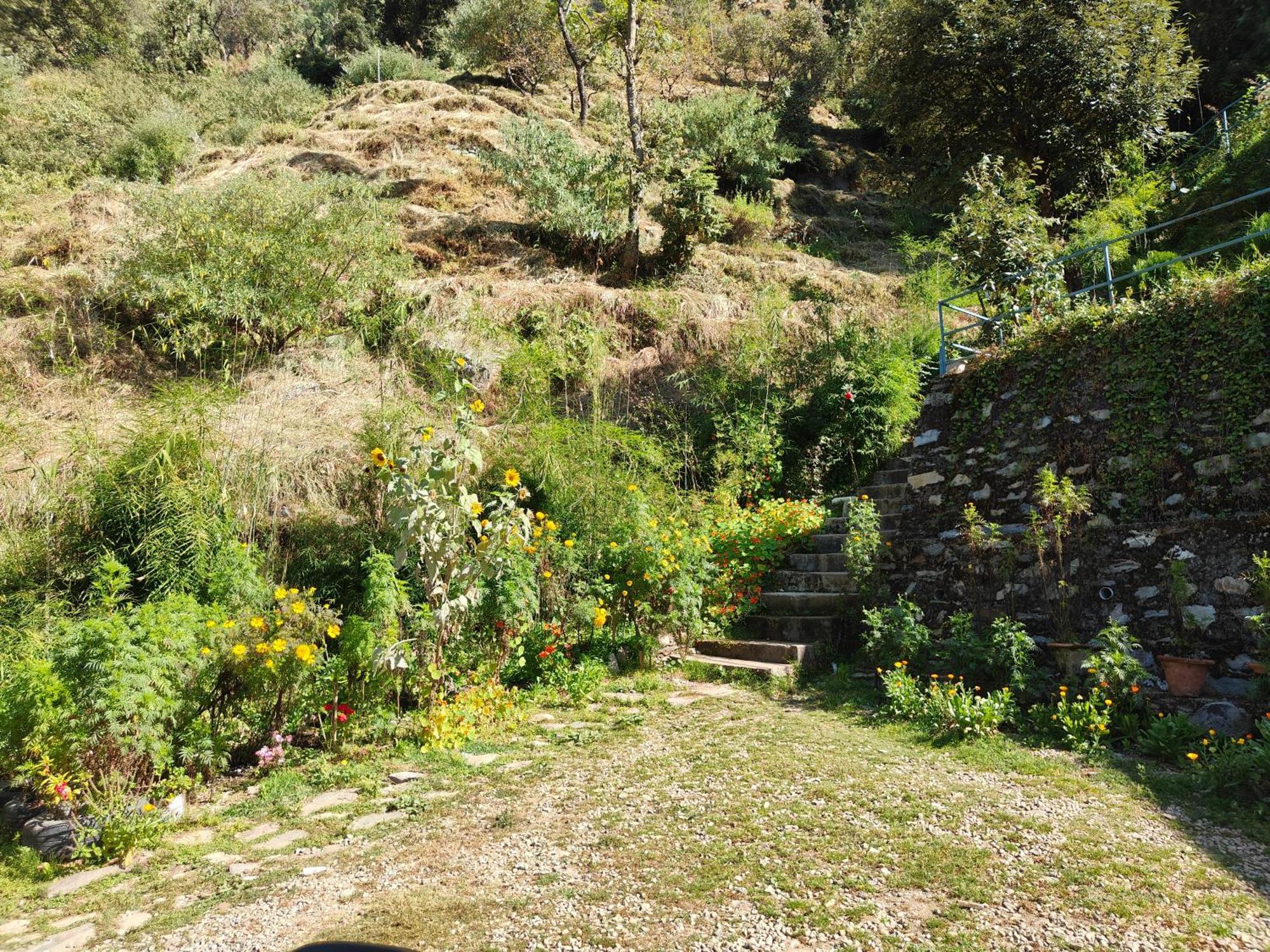 Himwanderer Camps & Cottages Pangot Nainital Exteriör bild