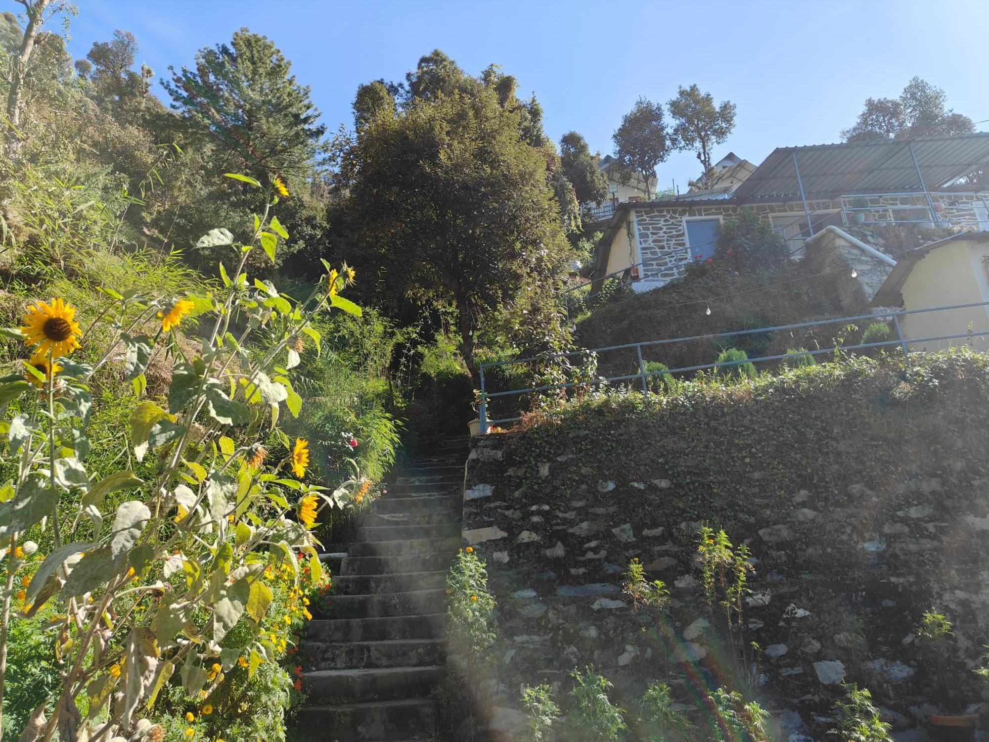 Himwanderer Camps & Cottages Pangot Nainital Exteriör bild