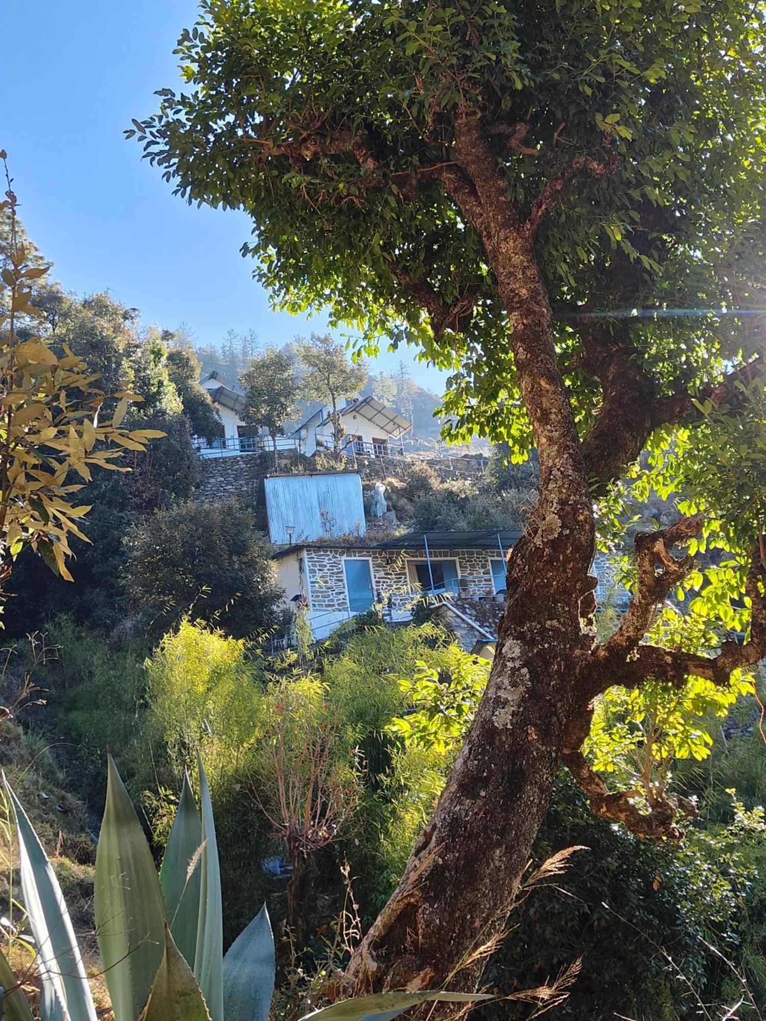 Himwanderer Camps & Cottages Pangot Nainital Exteriör bild