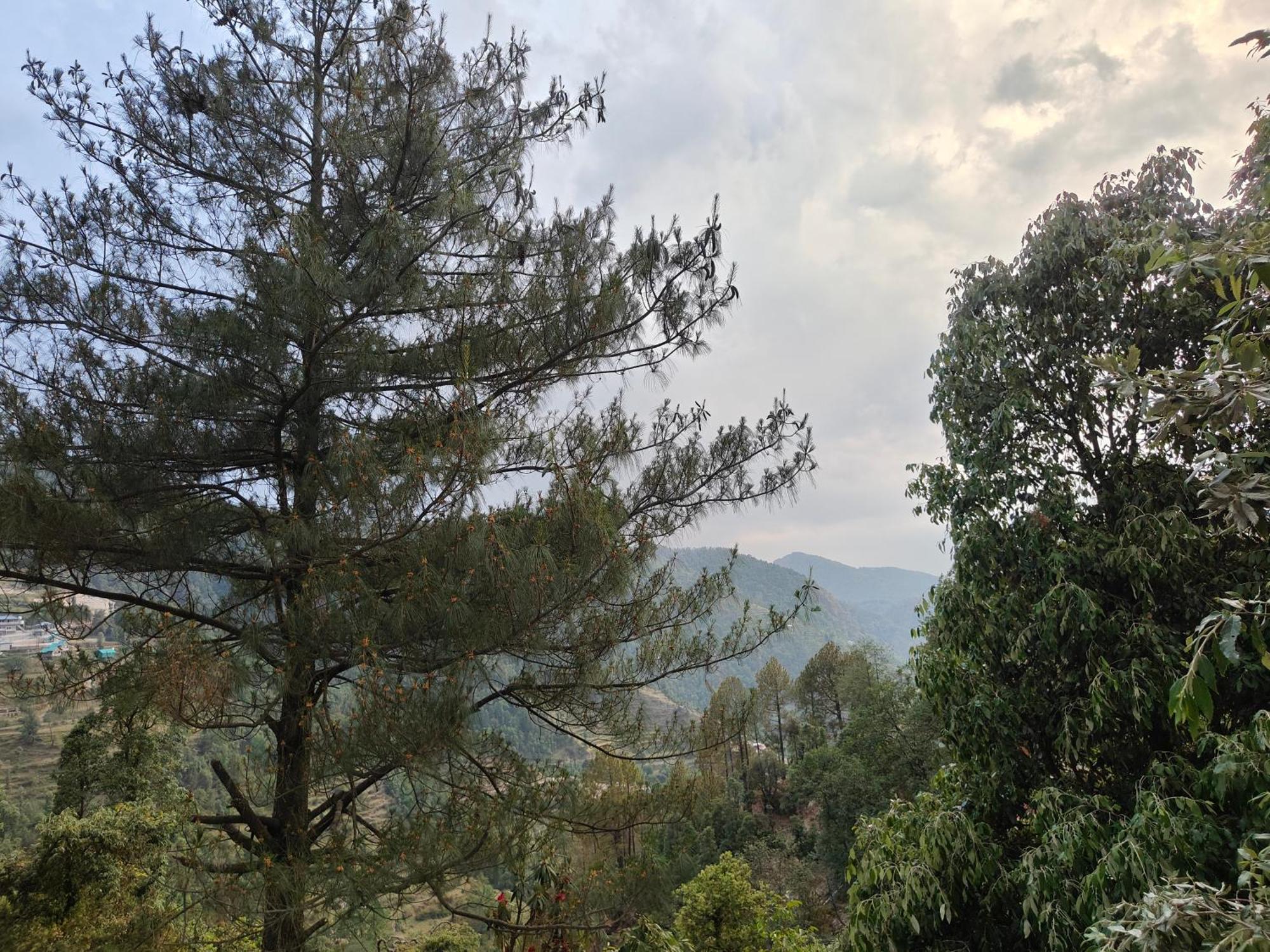Himwanderer Camps & Cottages Pangot Nainital Exteriör bild